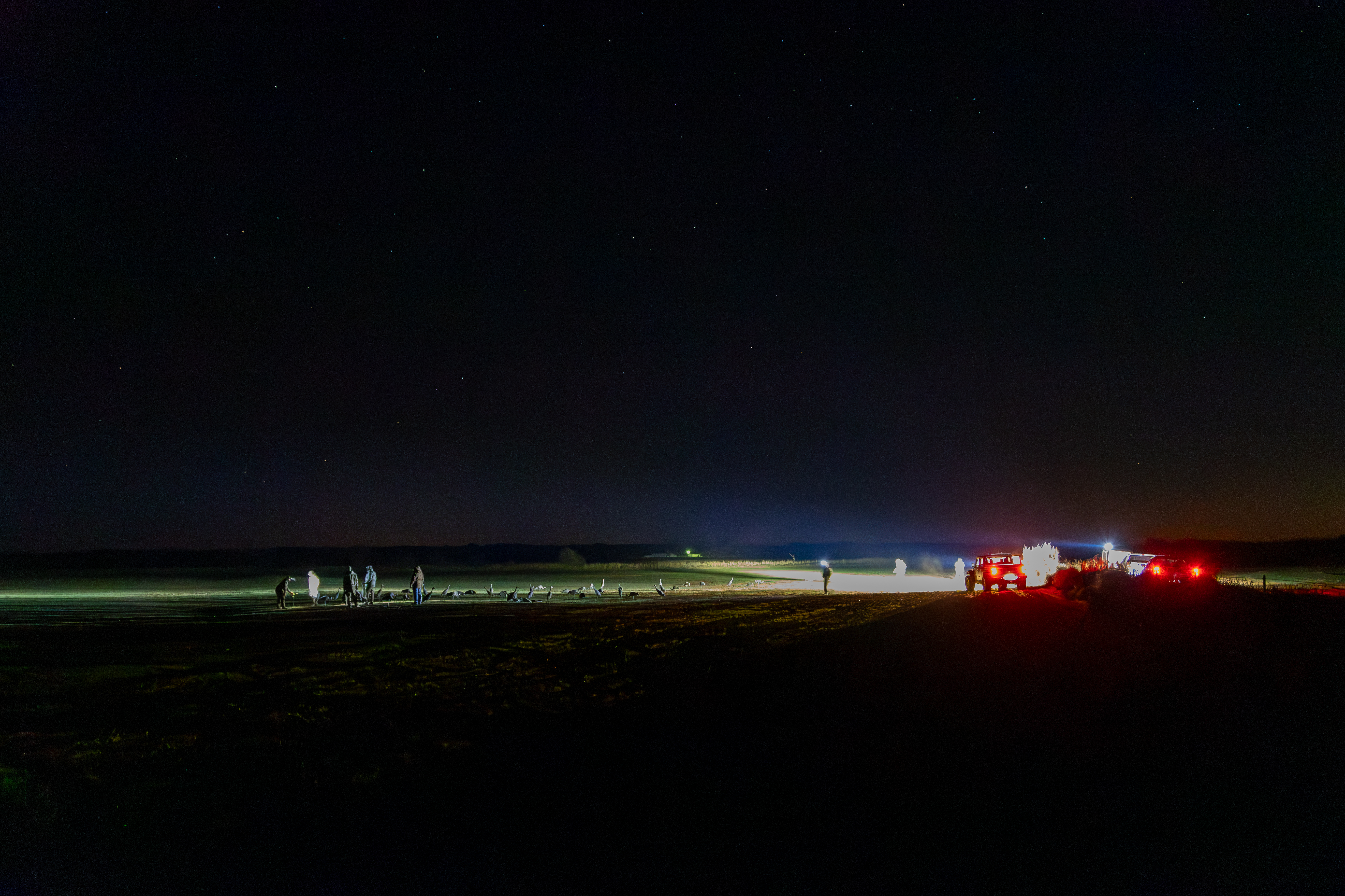 Hunting Sand Hill Crane Dogs Shotguns