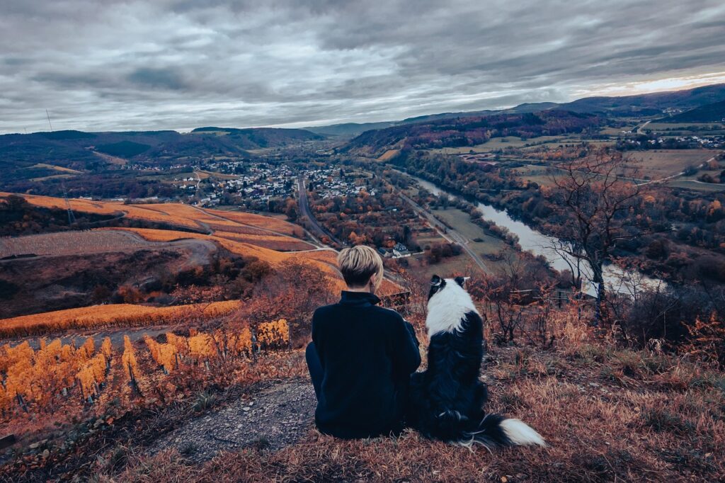Dog hiking - companion